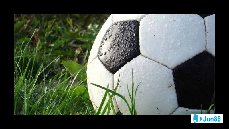 Minh họa cho Kèo châu Á trong bài Minh họa cho Kèo châu Á trong bài