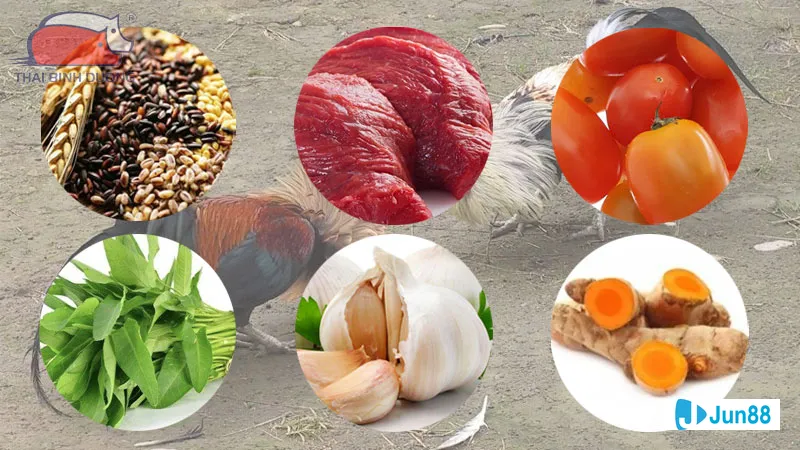 Vườn hoa đầy màu sắc