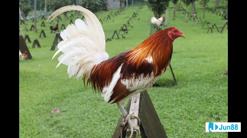 Tiềm năng kinh tế Tiềm năng kinh tế